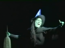 Wicked Chicago/ Tours - Broadway Trading